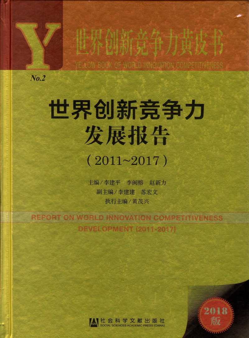 嗯啊不要好疼视频世界创新竞争力发展报告（2011-2017）