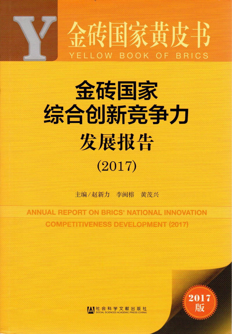 鸡巴插逼不要嗯啊视频金砖国家综合创新竞争力发展报告（2017）